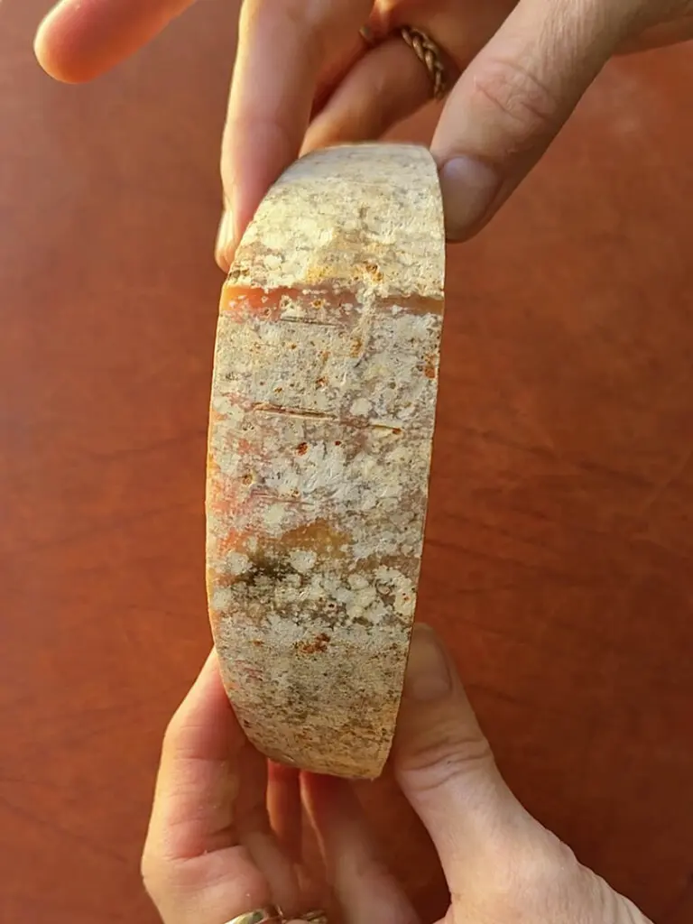 mimolette cheese mites in rind