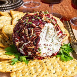 Cranberry Pecan Cheese Ball Recipe