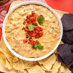 rotel cheese dip recipe in a crock pot