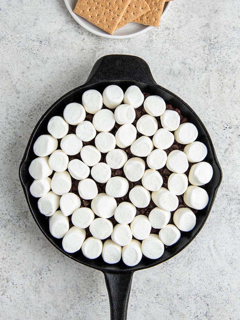 marshmallow dip chocolate