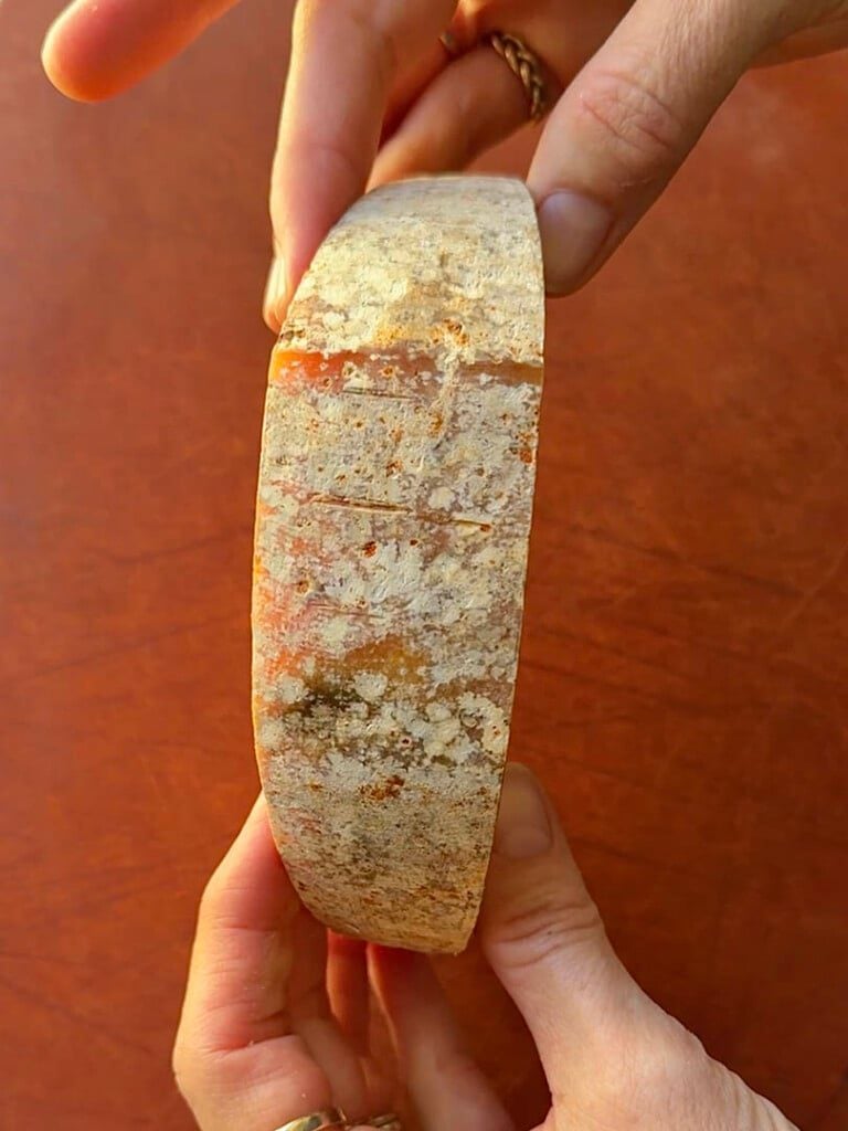 mimolette cheese mites in rind